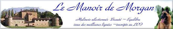 Le Manoir de Morgan - Elevage de Bergers Belges MALINOIS de trs haut niveau - Beaux - Equilibrs - Sportifs..... sujets recommands et Champions......